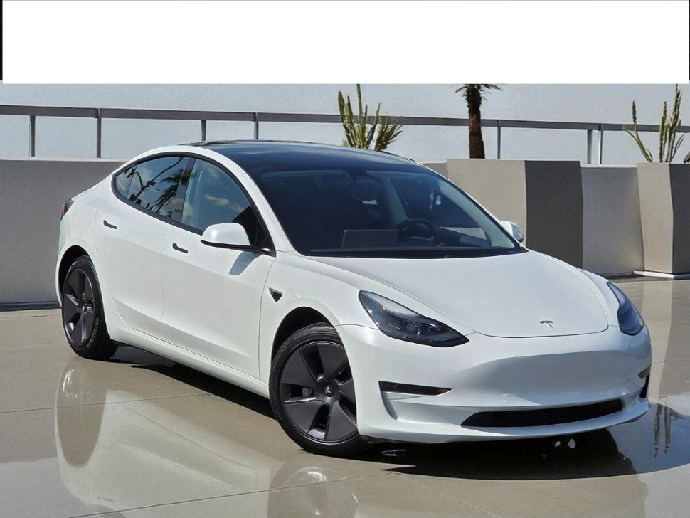 2021 Tesla Model 3 Base's photo